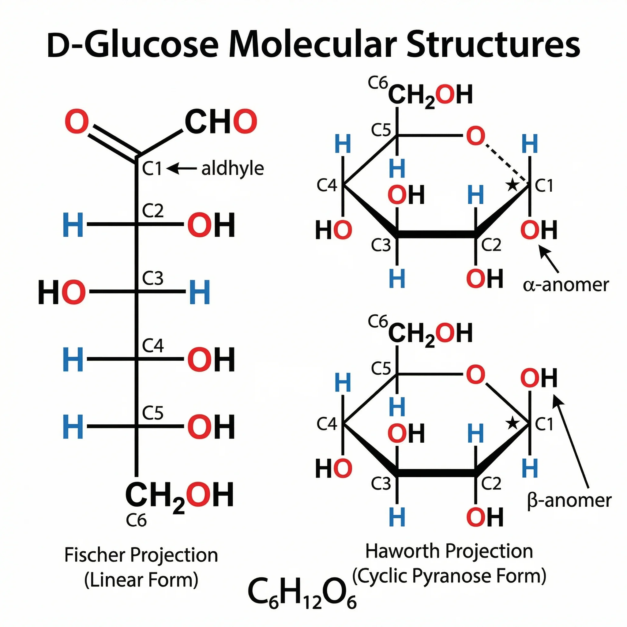 D-Glucose molecular structure in both linear and ring forms