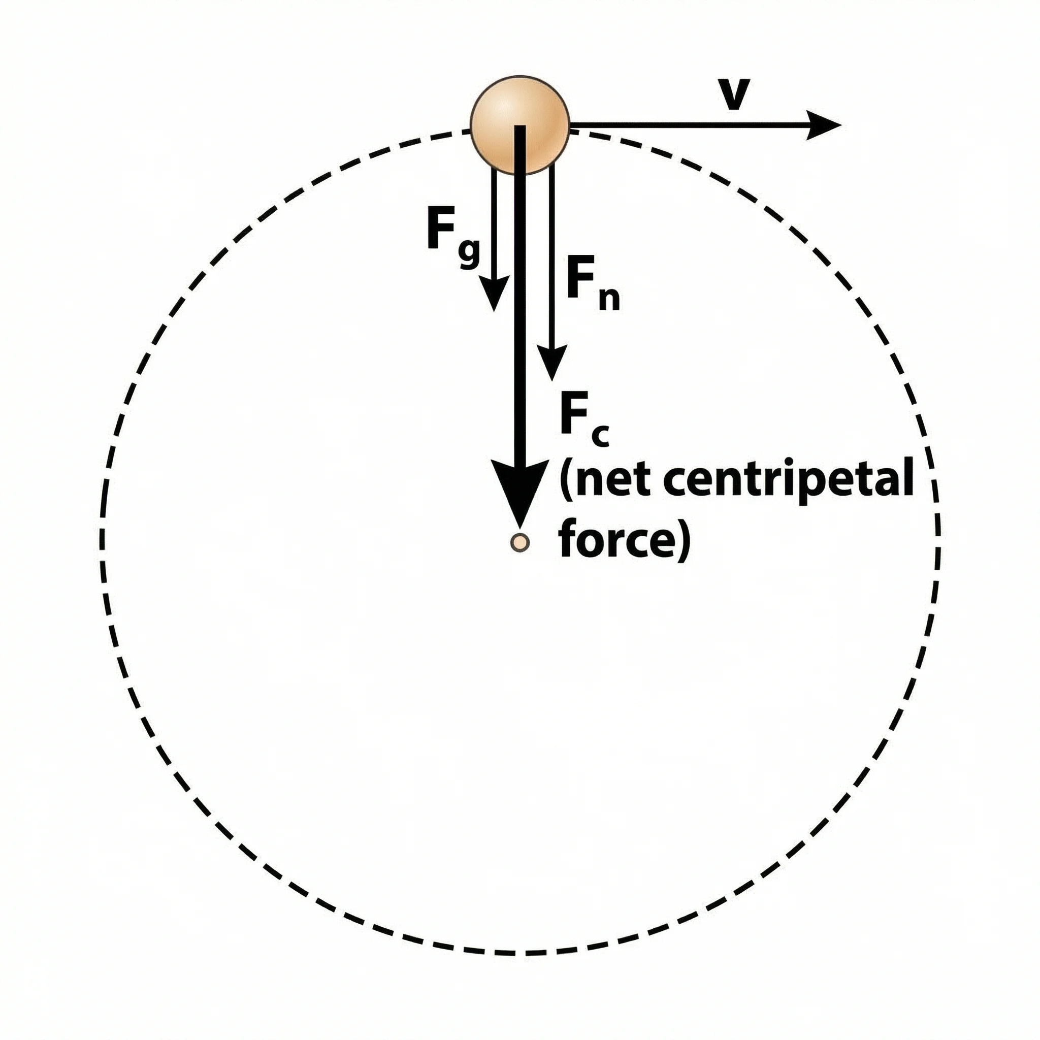 Free body diagram of an object in circular motion showing centripetal force, weight, and normal force vectors.