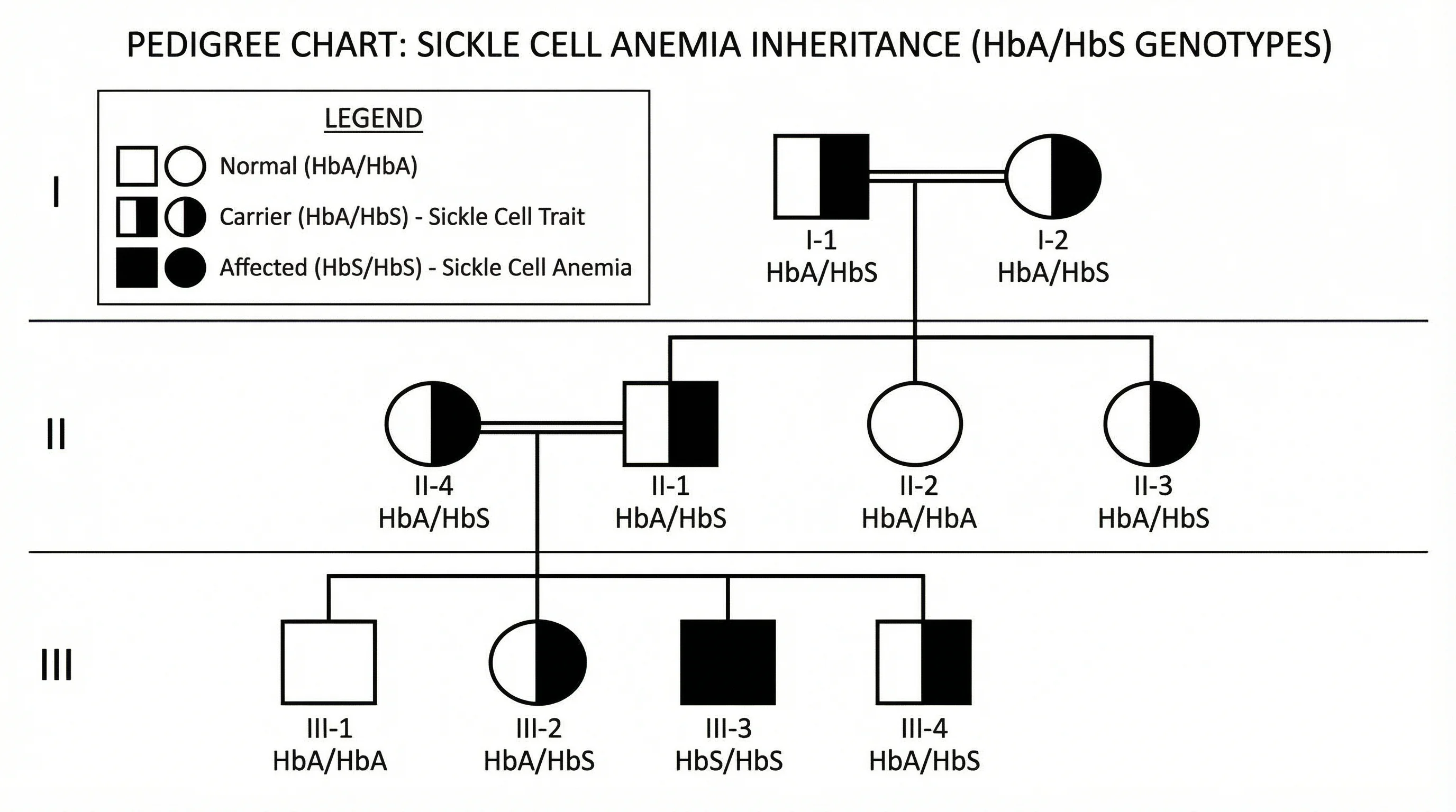 Pedigree chart showing sickle cell anemia inheritance with carriers (sickle cell trait) and affected individuals marked.